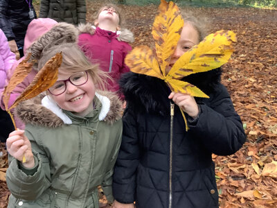 Image of Year 1&2 Trip To Lydiard Park
